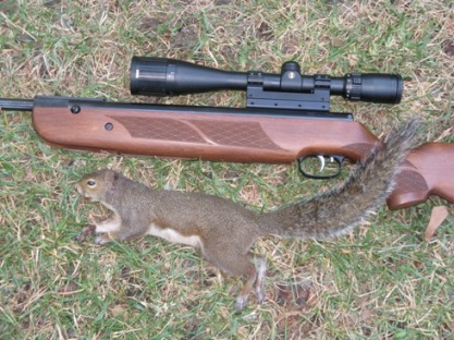 .22 R1 earns its first squirrel